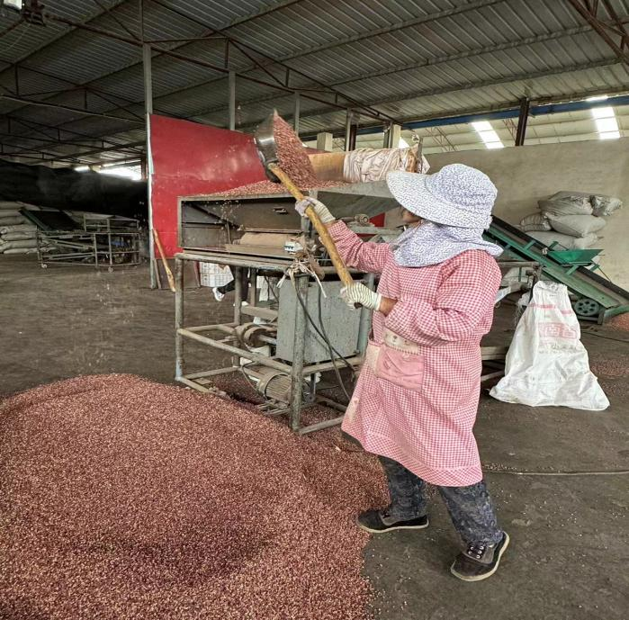 1725517273798565.png 图片4.png